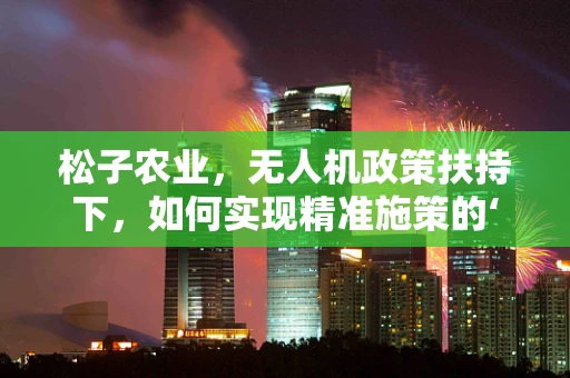松子农业，无人机政策扶持下，如何实现精准施策的‘空中之舞’？