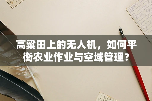 高粱田上的无人机，如何平衡农业作业与空域管理？