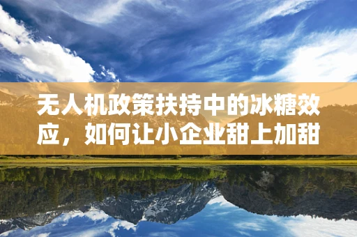 无人机政策扶持中的冰糖效应，如何让小企业甜上加甜？