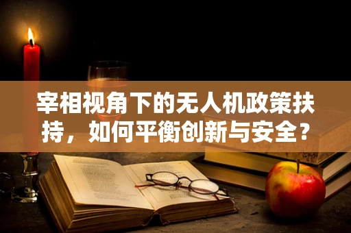 宰相视角下的无人机政策扶持，如何平衡创新与安全？