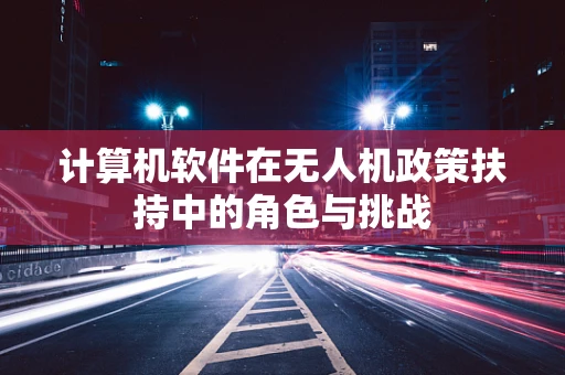 计算机软件在无人机政策扶持中的角色与挑战
