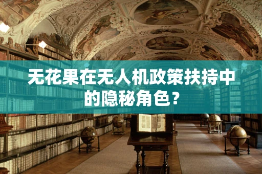 无花果在无人机政策扶持中的隐秘角色？