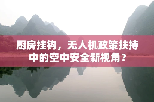 厨房挂钩，无人机政策扶持中的空中安全新视角？