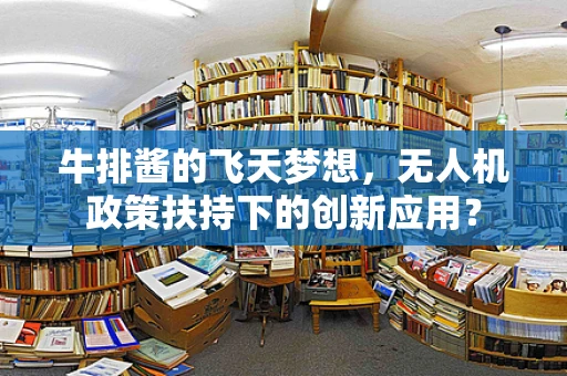 牛排酱的飞天梦想，无人机政策扶持下的创新应用？
