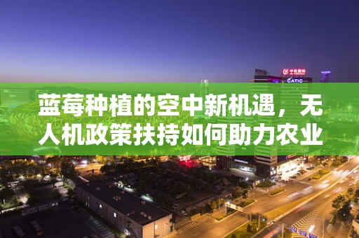 蓝莓种植的空中新机遇，无人机政策扶持如何助力农业升级？