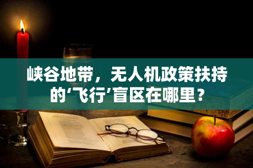 峡谷地带，无人机政策扶持的‘飞行’盲区在哪里？