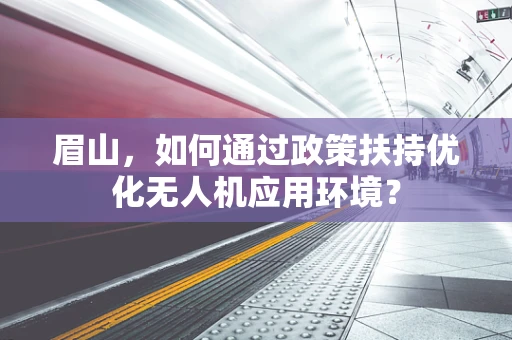 眉山，如何通过政策扶持优化无人机应用环境？