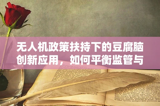 无人机政策扶持下的豆腐脑创新应用，如何平衡监管与创意？
