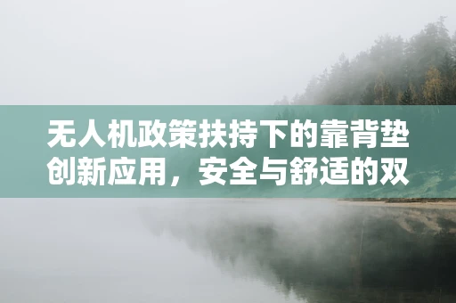 无人机政策扶持下的靠背垫创新应用，安全与舒适的双重考量