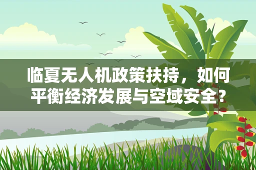 临夏无人机政策扶持，如何平衡经济发展与空域安全？