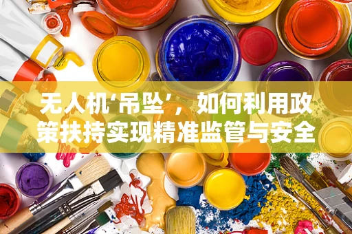 无人机‘吊坠’，如何利用政策扶持实现精准监管与安全飞行？