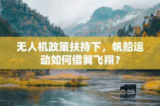 无人机政策扶持下，帆船运动如何借翼飞翔？
