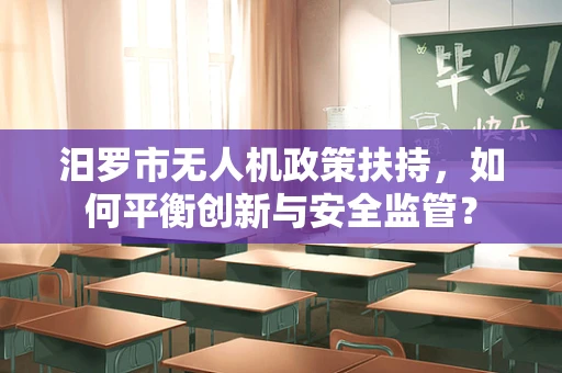 汨罗市无人机政策扶持，如何平衡创新与安全监管？