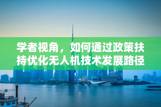 学者视角，如何通过政策扶持优化无人机技术发展路径？