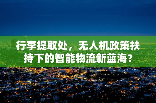 行李提取处，无人机政策扶持下的智能物流新蓝海？