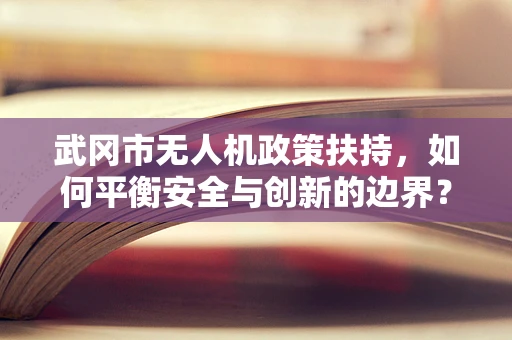 武冈市无人机政策扶持，如何平衡安全与创新的边界？