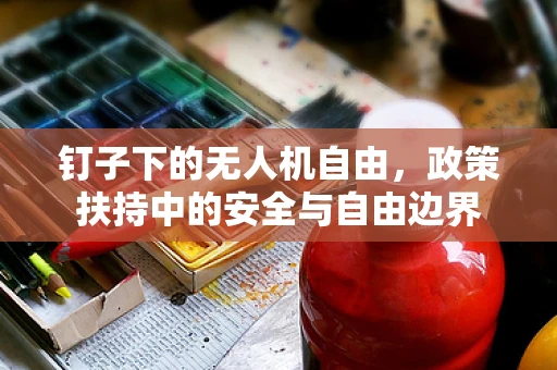 钉子下的无人机自由，政策扶持中的安全与自由边界
