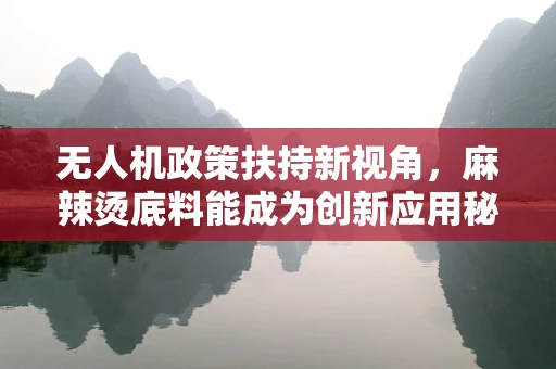 无人机政策扶持新视角，麻辣烫底料能成为创新应用秘籍吗？