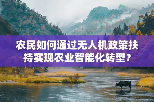 农民如何通过无人机政策扶持实现农业智能化转型？