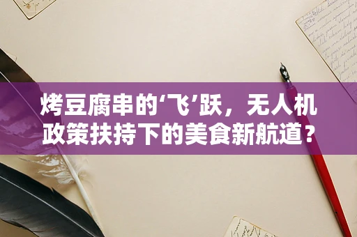 烤豆腐串的‘飞’跃，无人机政策扶持下的美食新航道？