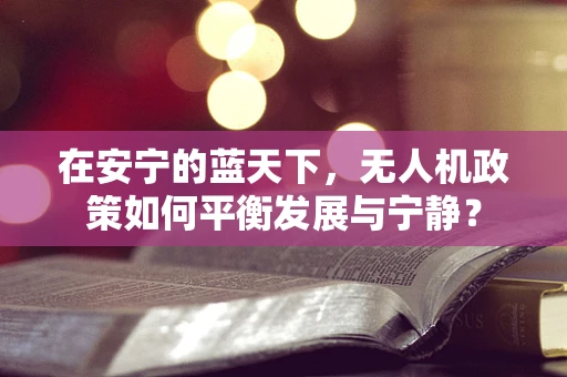 在安宁的蓝天下，无人机政策如何平衡发展与宁静？