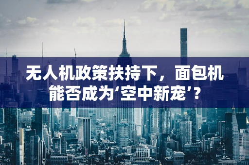 无人机政策扶持下，面包机能否成为‘空中新宠’？