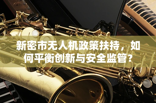 新密市无人机政策扶持，如何平衡创新与安全监管？