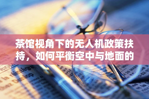 茶馆视角下的无人机政策扶持，如何平衡空中与地面的和谐共存？
