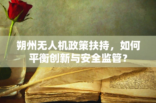 朔州无人机政策扶持，如何平衡创新与安全监管？