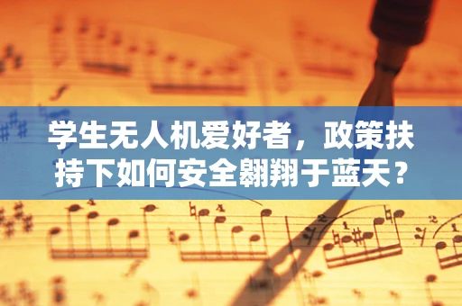 学生无人机爱好者，政策扶持下如何安全翱翔于蓝天？