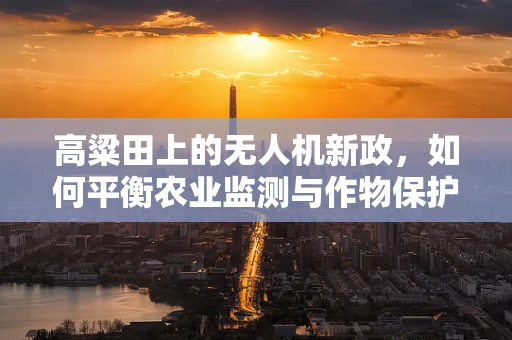 高粱田上的无人机新政，如何平衡农业监测与作物保护？