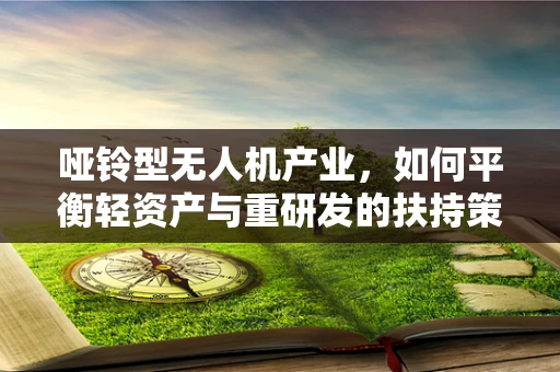哑铃型无人机产业，如何平衡轻资产与重研发的扶持策略？