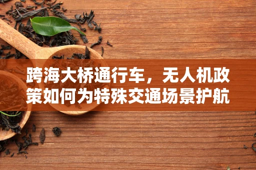 跨海大桥通行车，无人机政策如何为特殊交通场景护航？