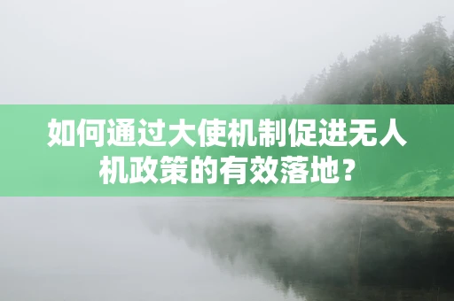 如何通过大使机制促进无人机政策的有效落地？