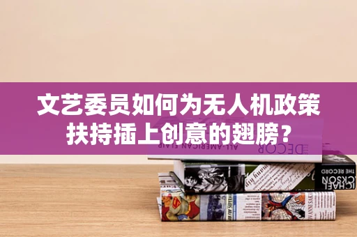 文艺委员如何为无人机政策扶持插上创意的翅膀？