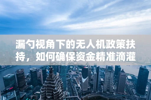 漏勺视角下的无人机政策扶持，如何确保资金精准滴灌？