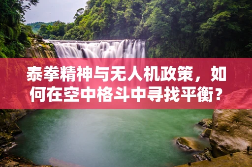泰拳精神与无人机政策，如何在空中格斗中寻找平衡？