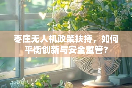 枣庄无人机政策扶持，如何平衡创新与安全监管？