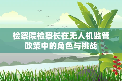 检察院检察长在无人机监管政策中的角色与挑战
