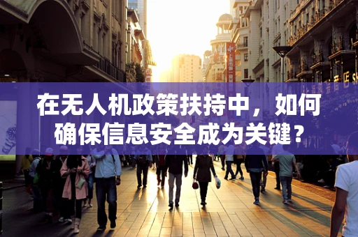 在无人机政策扶持中，如何确保信息安全成为关键？