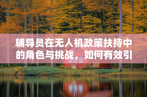 辅导员在无人机政策扶持中的角色与挑战，如何有效引导创新与合规？