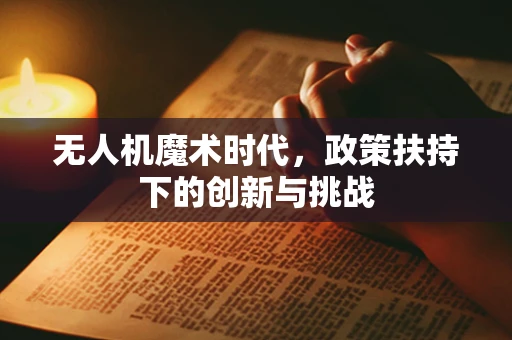 无人机魔术时代，政策扶持下的创新与挑战
