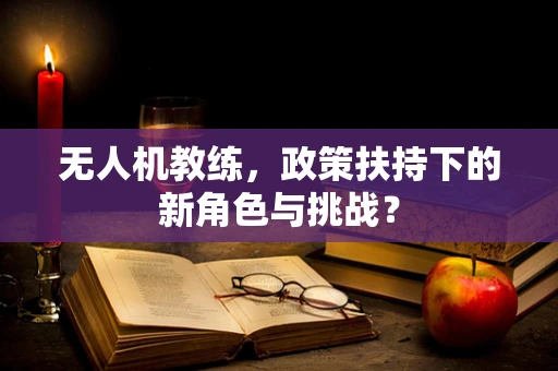 无人机教练，政策扶持下的新角色与挑战？