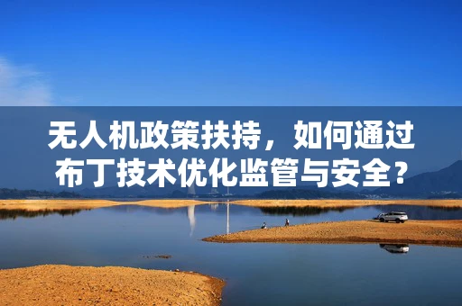 无人机政策扶持，如何通过布丁技术优化监管与安全？