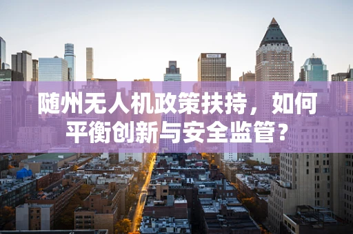 随州无人机政策扶持，如何平衡创新与安全监管？