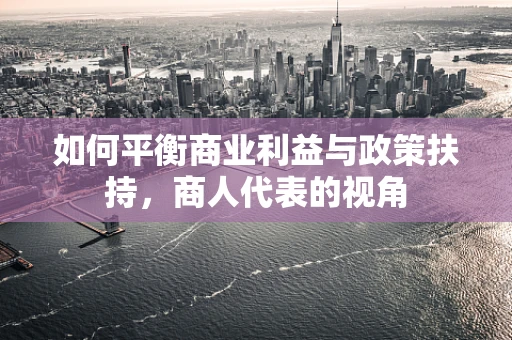 如何平衡商业利益与政策扶持，商人代表的视角
