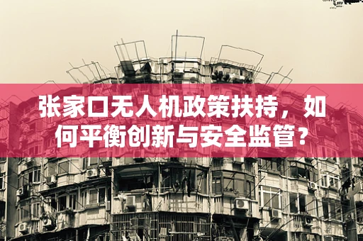 张家口无人机政策扶持，如何平衡创新与安全监管？