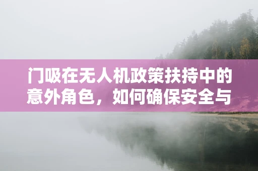 门吸在无人机政策扶持中的意外角色，如何确保安全与合规的双重保障？
