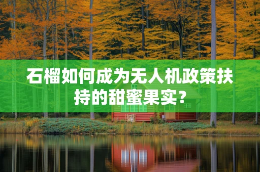 石榴如何成为无人机政策扶持的甜蜜果实？