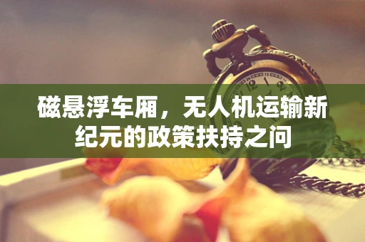 磁悬浮车厢，无人机运输新纪元的政策扶持之问